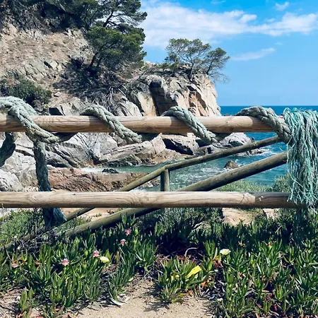 Loomins By Interhome Tossa de Mar